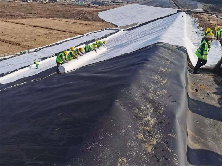 geomembrane